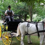 tour in carrozza con cavalli