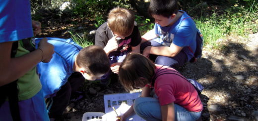 escursione didattica bambini Cooperativa Curiosi di Natura