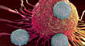 cancro tumori proteina p53 mutata Università di Trieste