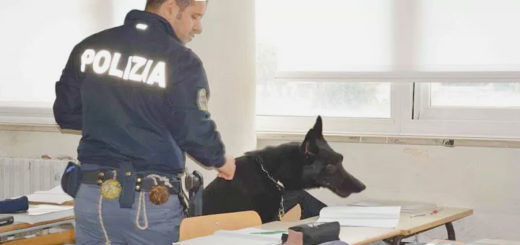 cane antidroga Polizia scuola
