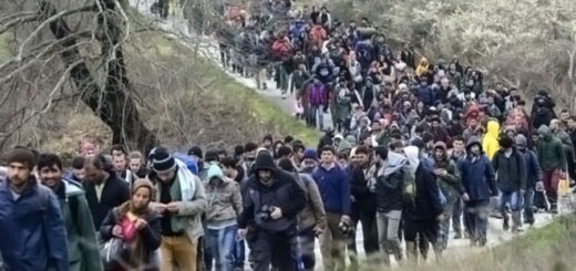 immigrati migranti rotta balcanica