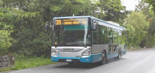 autobus 39 Carso