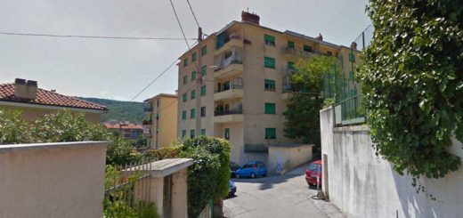 Via del Pinturicchio Trieste acacia