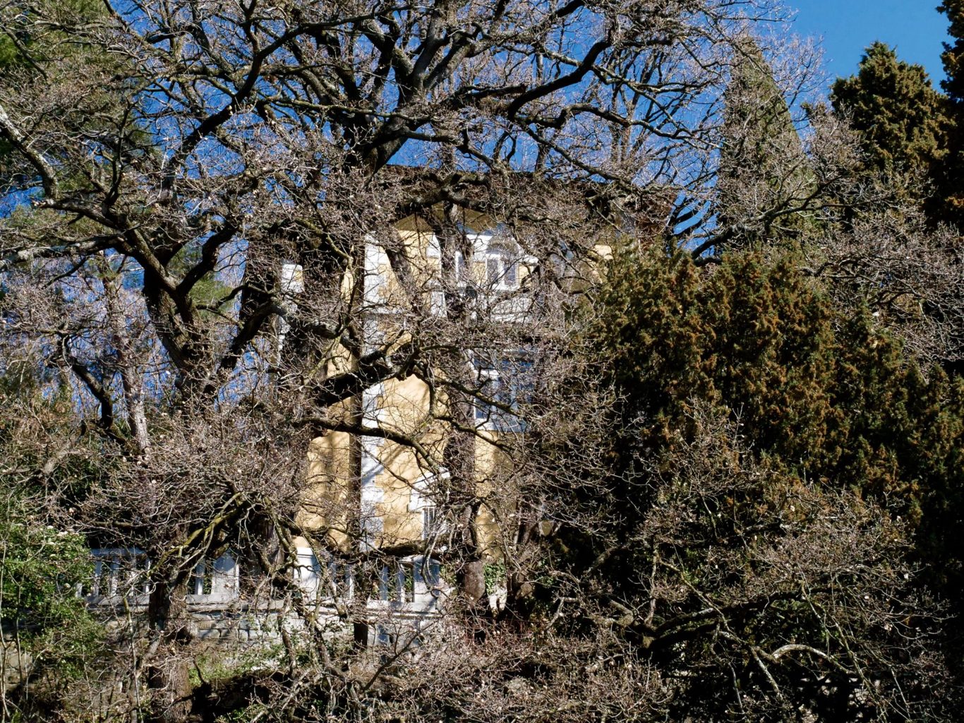 villa Stavropulos Trieste