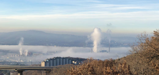 Trieste nebbia 30 dicembre 2021