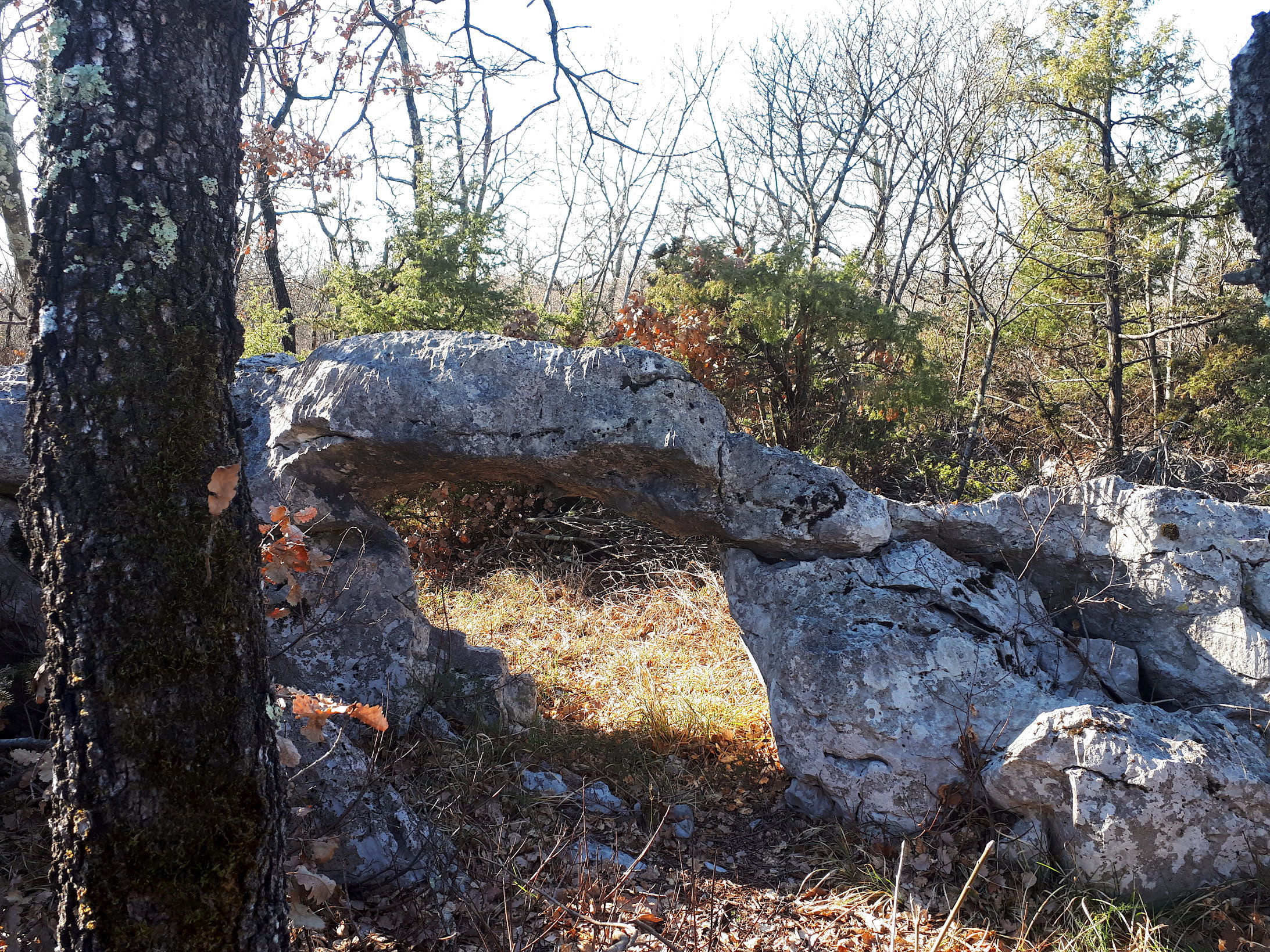 Carso - Arco di roccia