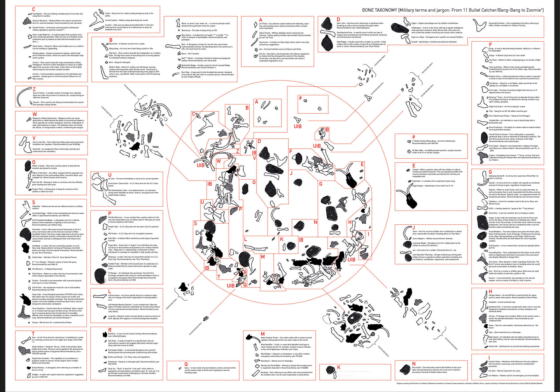Zbyněk Baladrán, Taxonomy of bones, 2020, stampa su cartone, 70x100 cm, courtesy l'artista