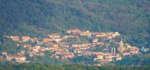 San Dorligo della Valle - Dolina