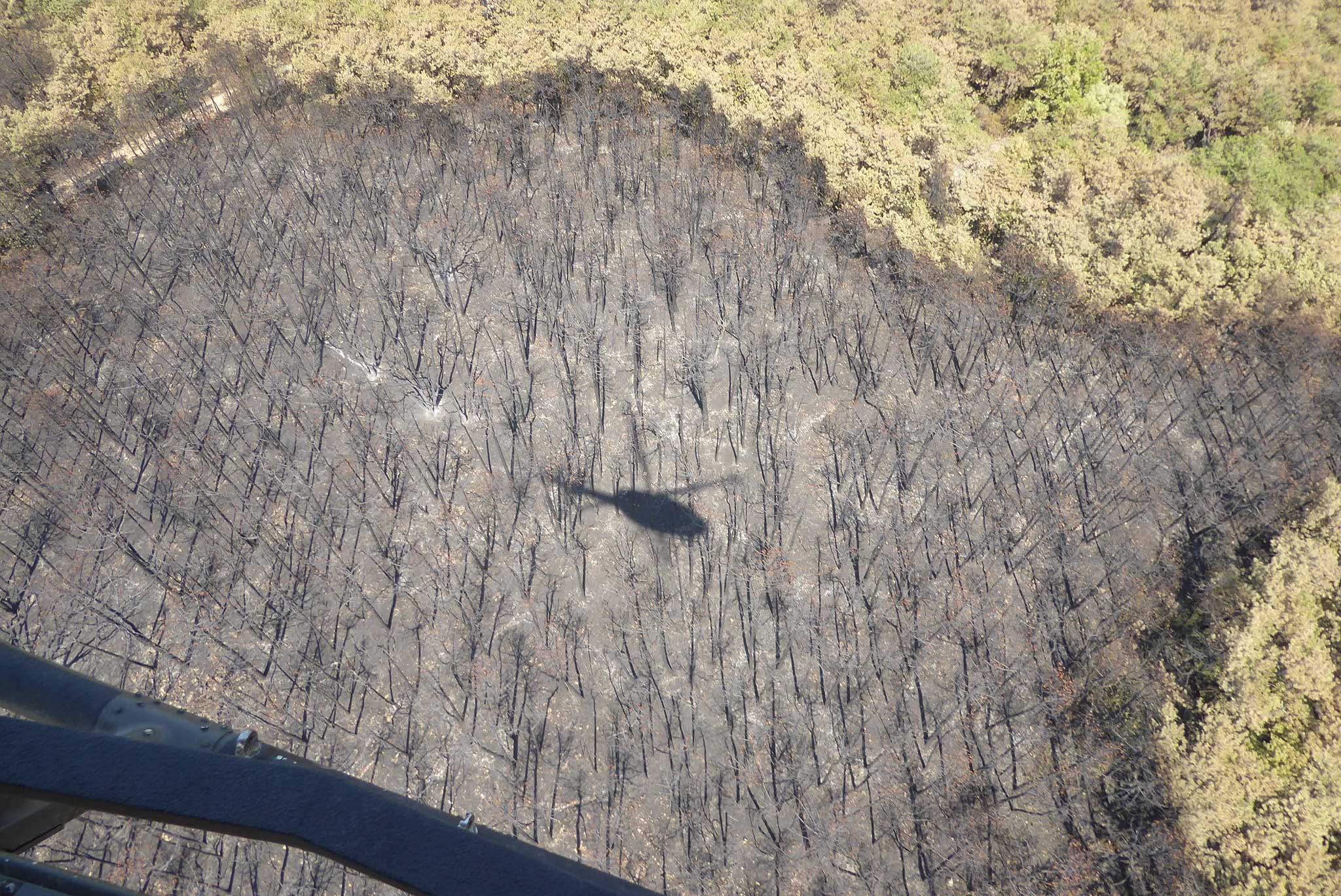 Carso bruciato foto aviazione slovena