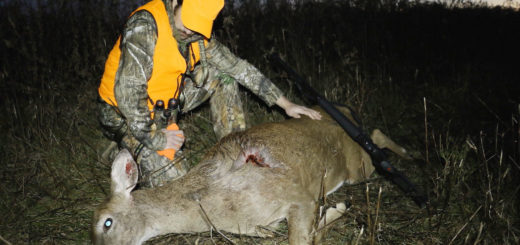 cacciatore uccide cervo