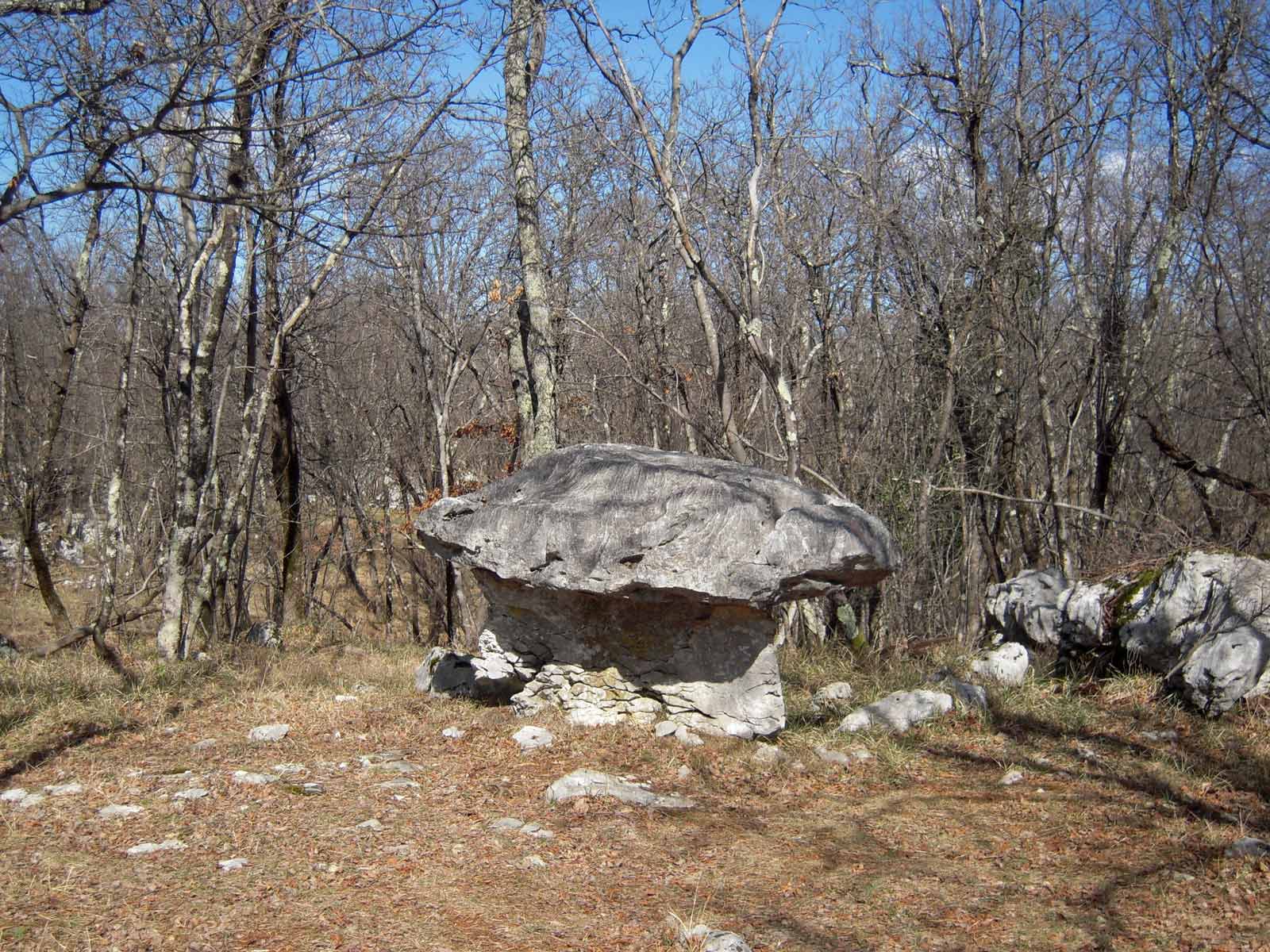 Carso - fungo di roccia