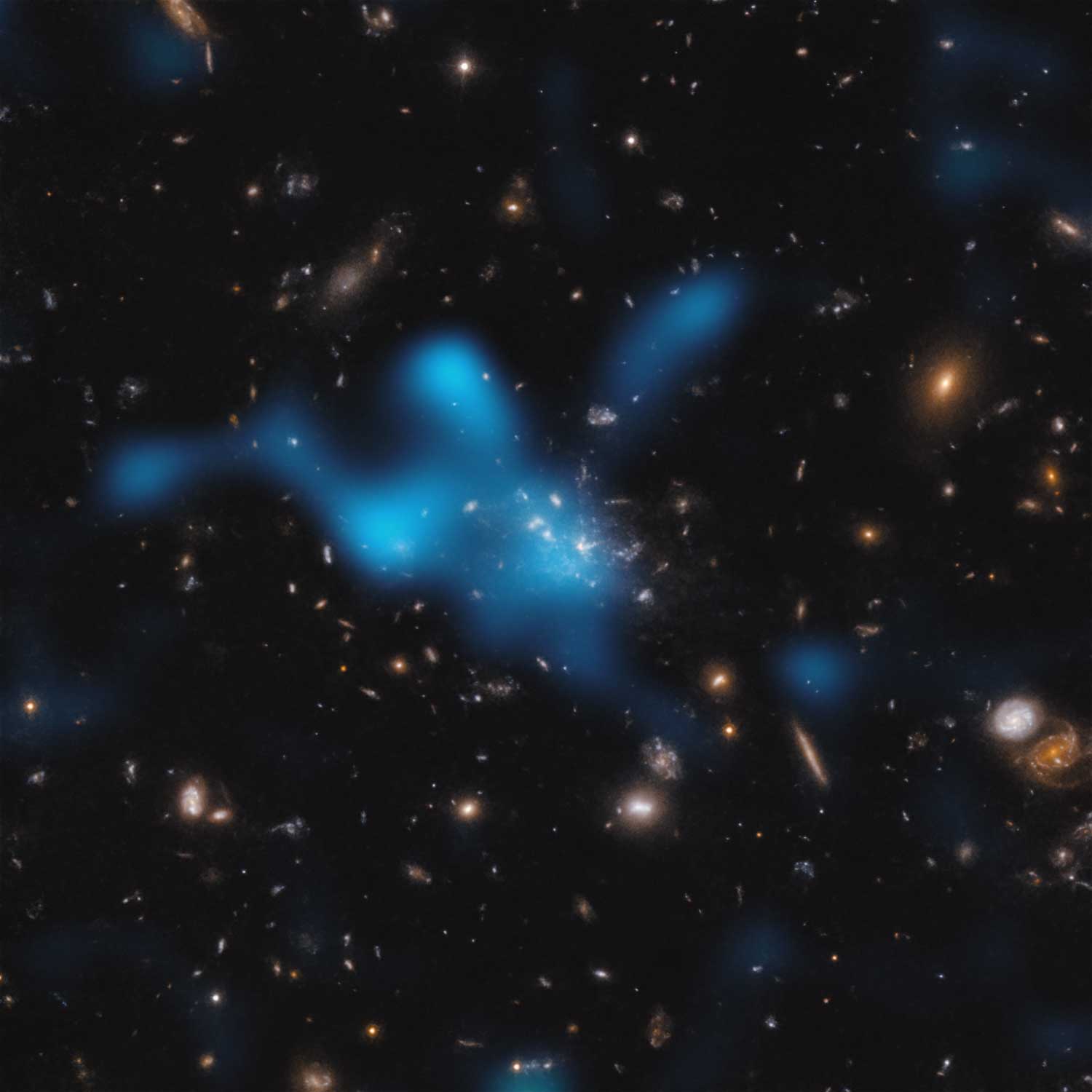 Effetto Sunyaev-Zeldovich nel protoammasso Spiderweb
L'immagine mostra il protoammasso attorno alla galassia Spiderweb (formalmente nota come MRC 1138-262), visto in un momento in cui l'Universo aveva solo 3 miliardi di anni. La maggior parte della massa del protoammasso non risiede nelle galassie visibili al centro dell'immagine, ma nel gas noto come mezzo intracluster (ICM). Il gas caldo nell'ICM è mostrato come una nuvola blu sovrapposta. 
Il gas caldo è stato rilevato con l'Atacama Large Millimeter/submillimeter Array (ALMA), di cui ESO è partner. Quando la luce del fondo cosmico a microonde - la radiazione relitta del Big Bang - attraversa l'ICM guadagna energia quando interagisce con gli elettroni del gas caldo. Questo fenomeno è noto come effetto Sunyaev-Zeldovich. Studiando questo effetto, gli astronomi possono dedurre la quantità di gas caldo presente nell'ICM e dimostrare che il protoammasso Spiderweb è in procinto di diventare un ammasso massiccio tenuto insieme dalla sua stessa gravità.
Credit:
ESO/Di Mascolo et al.; HST: H. Ford
