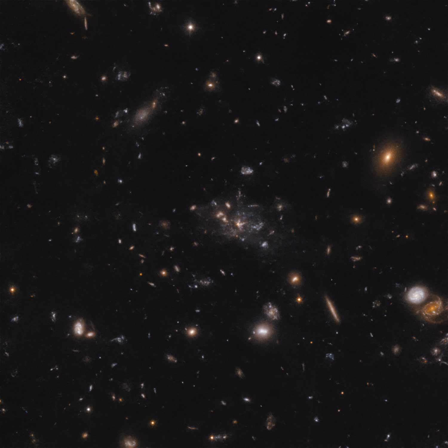 Il protoammasso Spiderweb 
Questa immagine mostra il protoammasso attorno alla galassia Spiderweb (formalmente nota come MRC 1138-262). La luce che vediamo nell'immagine mostra le galassie in un momento in cui l'Universo aveva solo 3 miliardi di anni. La maggior parte della massa nel protocluster non risiede nelle galassie, ma nel gas noto come mezzo intracluster. A causa della massa nel gas, il protoammasso sta per diventare un enorme ammasso tenuto insieme dalla sua stessa gravità.
Credit:
ESO/H. Ford
