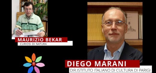Minoranze Diego Marani Maurizio Bekar