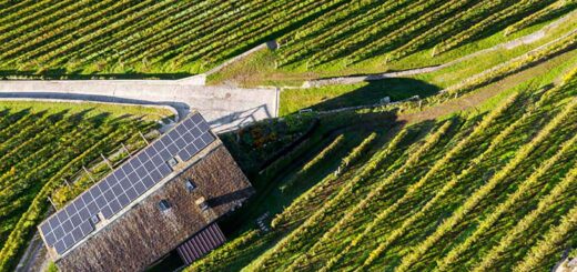 fotovoltaico su azienda agricola