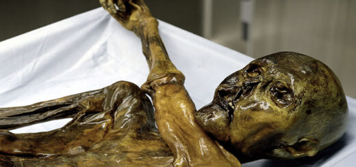 Ötzi mummia dell'uomo di Similaun