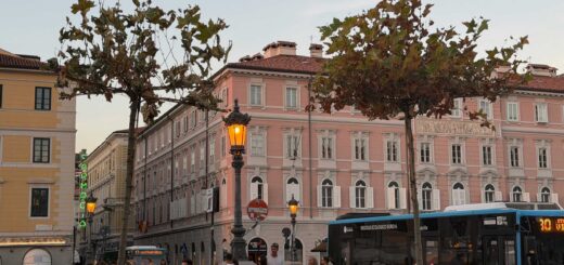 platani secchi trieste ponterosso