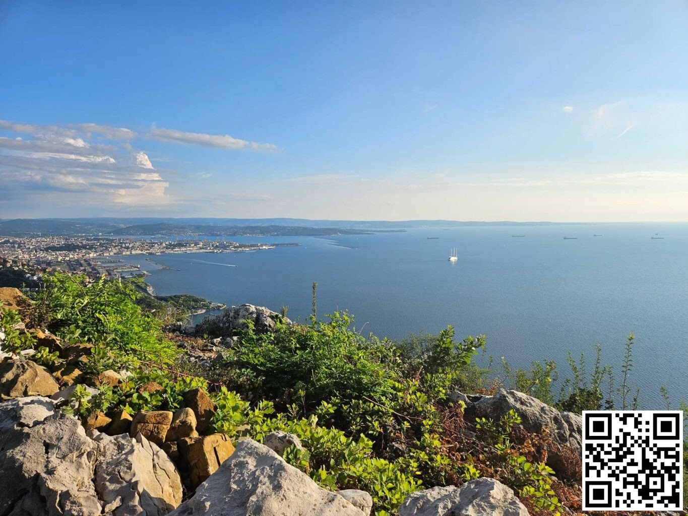 Trieste da Monte Grisa