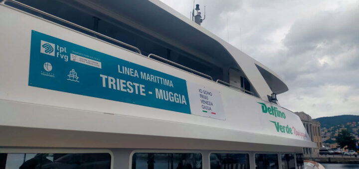 delfino verde muggia trieste
